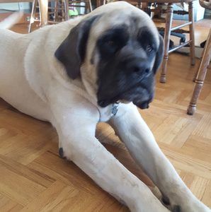 Meet your Posher, Deb